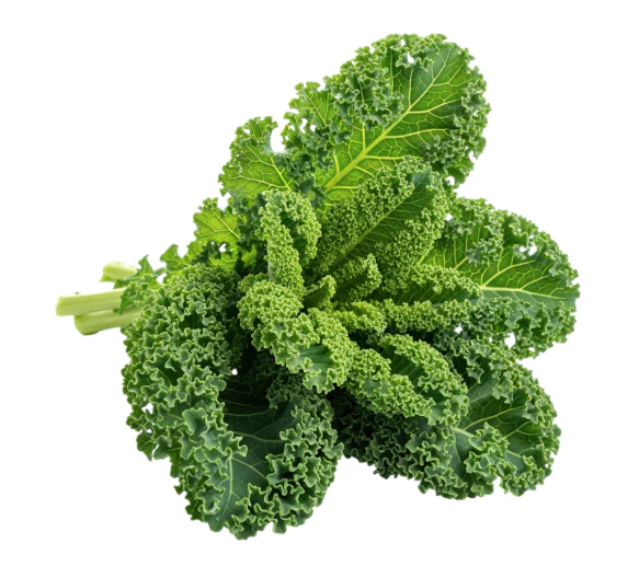 Curly Kale